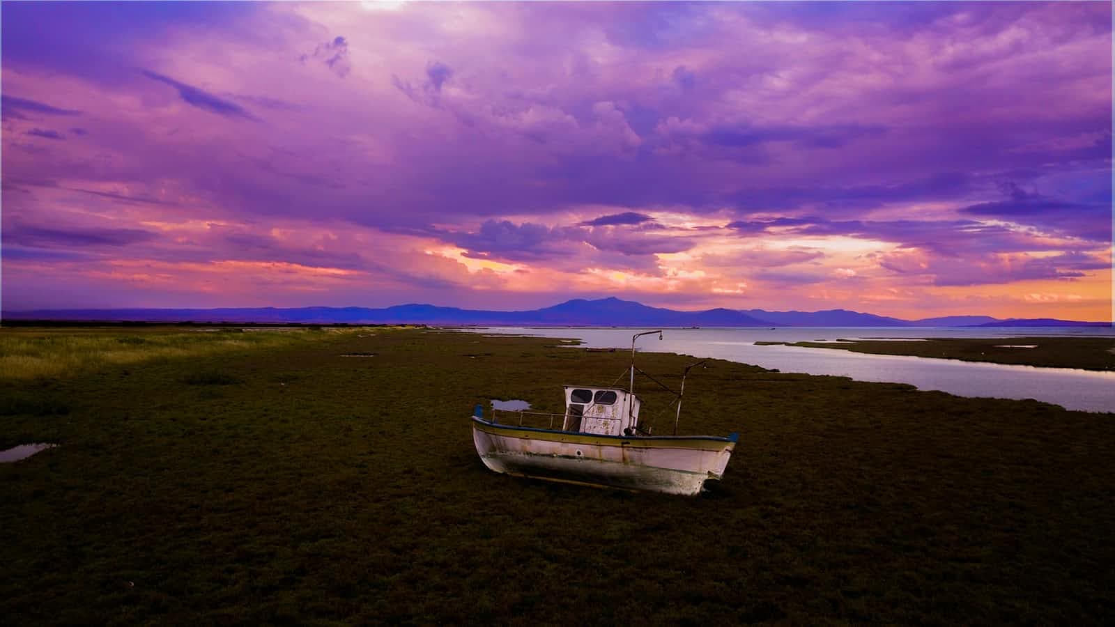 API handling: Axios!! or Fetch API!😱